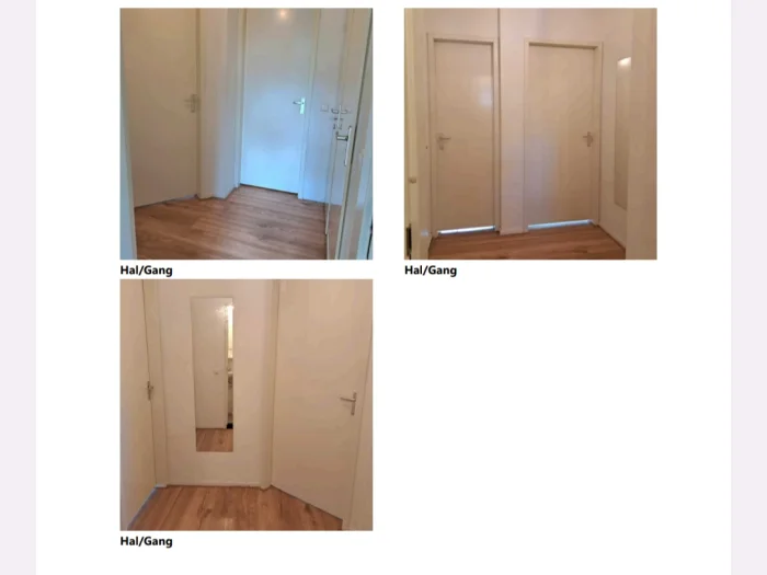 Voorbeeldafbeelding 1