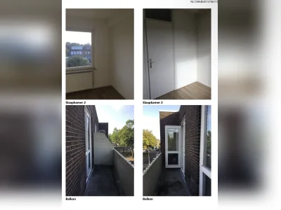 Voorbeeldafbeelding 5