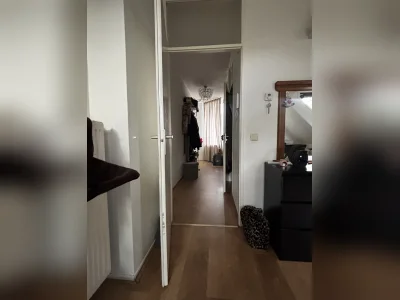 Voorbeeldafbeelding 3