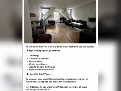 Voorbeeldafbeelding 1