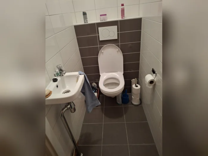 Voorbeeldafbeelding 3