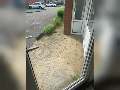 Voorbeeldafbeelding 12