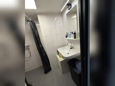 Voorbeeldafbeelding 6