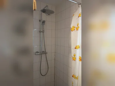 Voorbeeldafbeelding 6