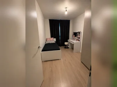 Voorbeeldafbeelding 13
