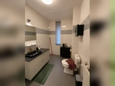 Voorbeeldafbeelding 17