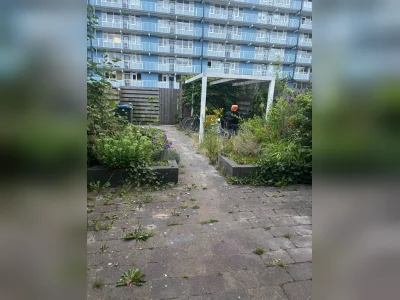 Voorbeeldafbeelding 20