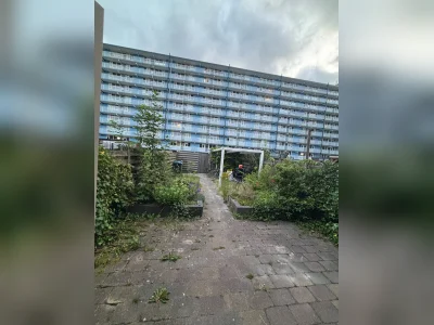 Voorbeeldafbeelding 21