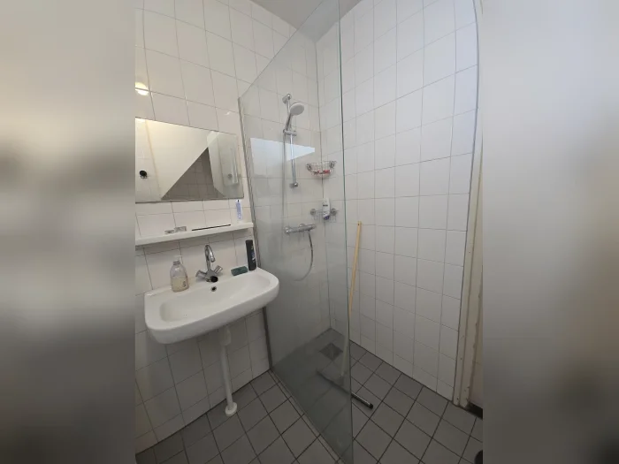 Voorbeeldafbeelding 16