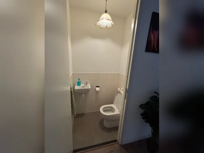 Voorbeeldafbeelding 9
