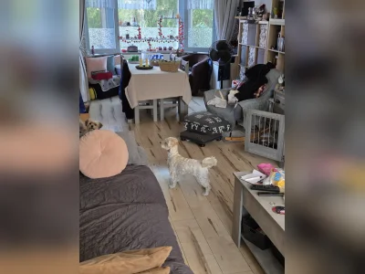 Voorbeeldafbeelding 6