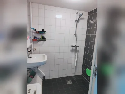 Voorbeeldafbeelding 3