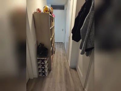 Voorbeeldafbeelding 5