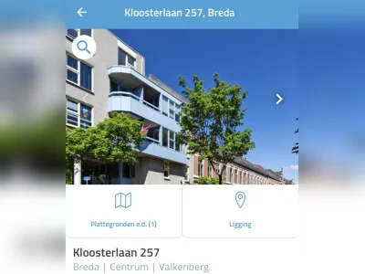 Voorbeeldafbeelding 1
