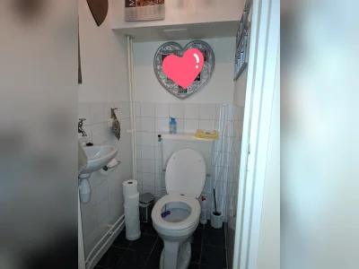 Voorbeeldafbeelding 6