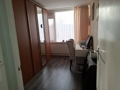 Voorbeeldafbeelding 12