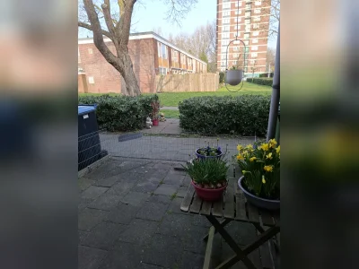 Voorbeeldafbeelding 4