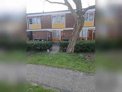 Voorbeeldafbeelding 5