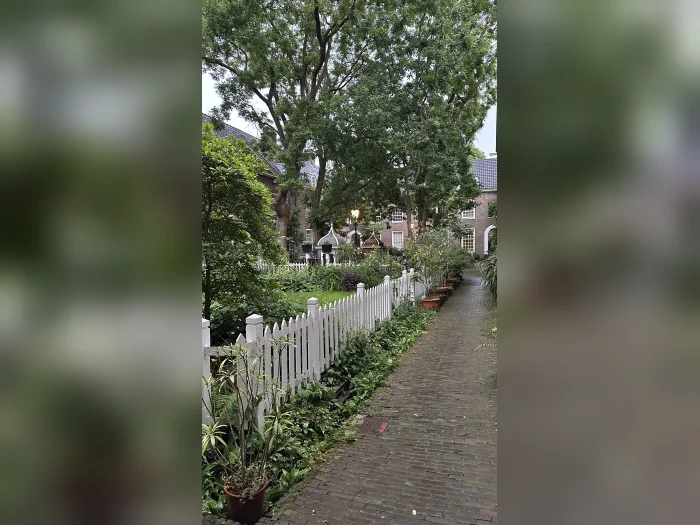 Voorbeeldafbeelding 3
