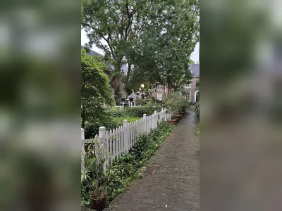 Voorbeeldafbeelding 3