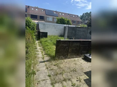Voorbeeldafbeelding 5