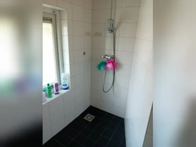 Voorbeeldafbeelding 4