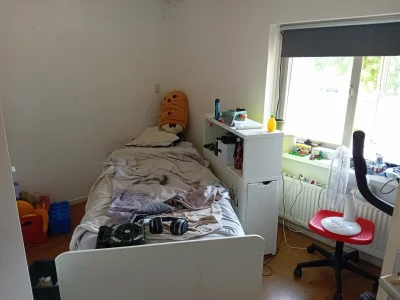 Voorbeeldafbeelding 21