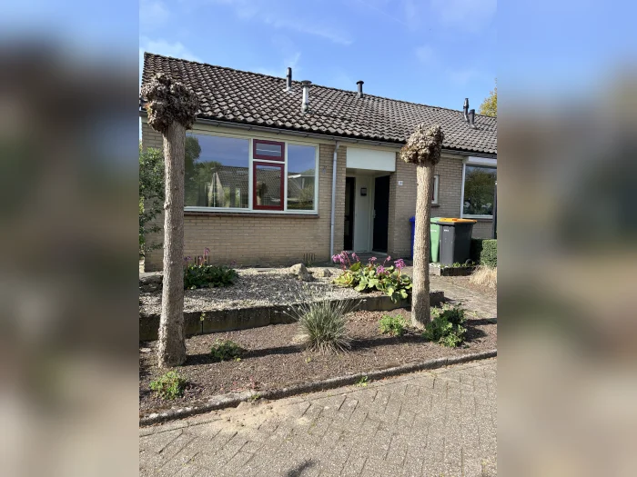 Voorbeeldafbeelding 1