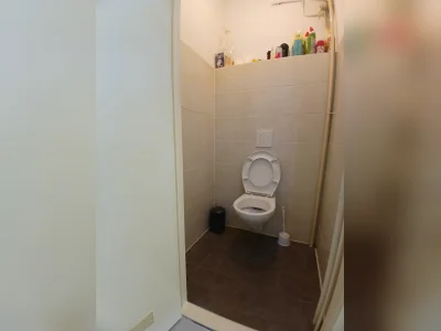 Voorbeeldafbeelding 4