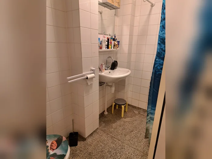 Voorbeeldafbeelding 3
