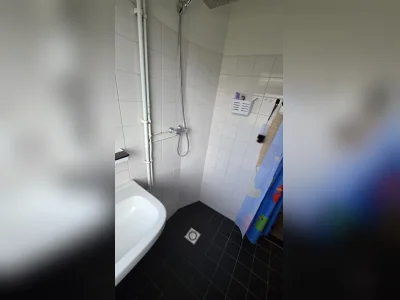 Voorbeeldafbeelding 6