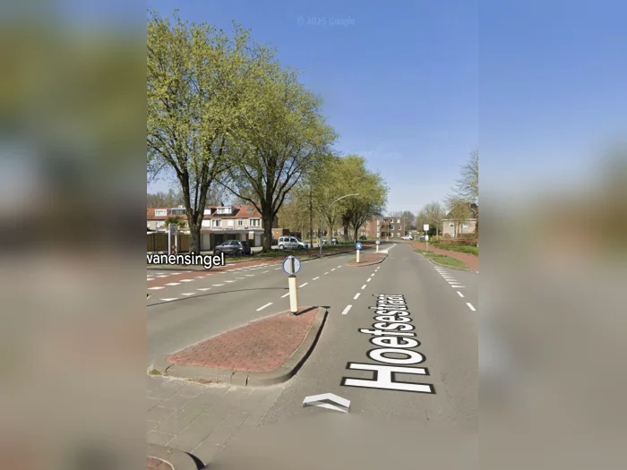 Voorbeeldafbeelding 4