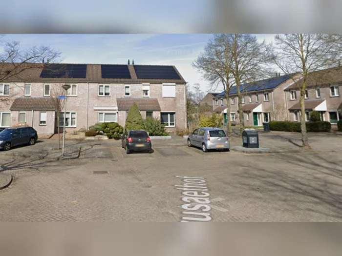 Voorbeeldafbeelding 3