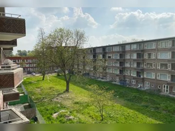 Voorbeeldafbeelding 3