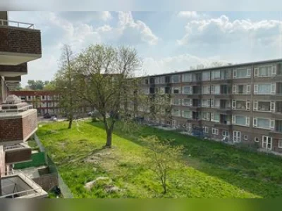 Voorbeeldafbeelding 3