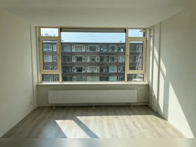 Voorbeeldafbeelding 7