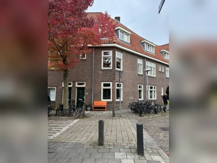 Voorbeeldafbeelding 1
