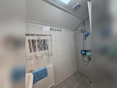 Voorbeeldafbeelding 9