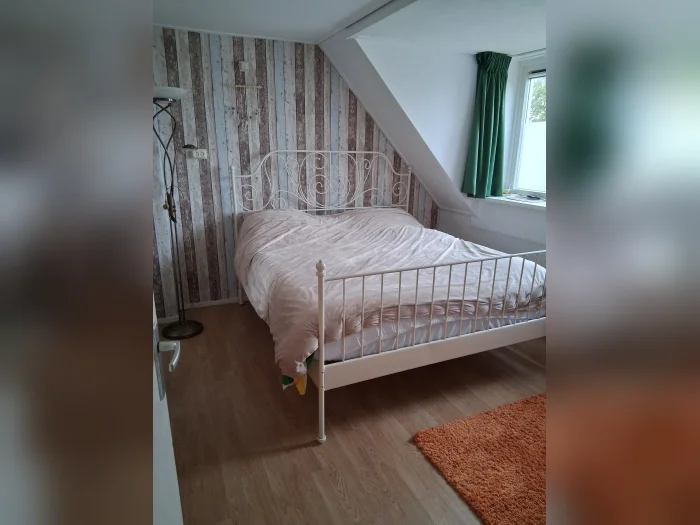 Voorbeeldafbeelding 2