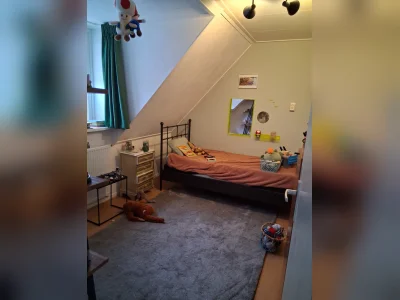 Voorbeeldafbeelding 3
