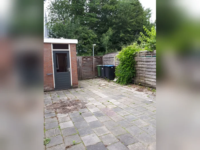 Voorbeeldafbeelding 11
