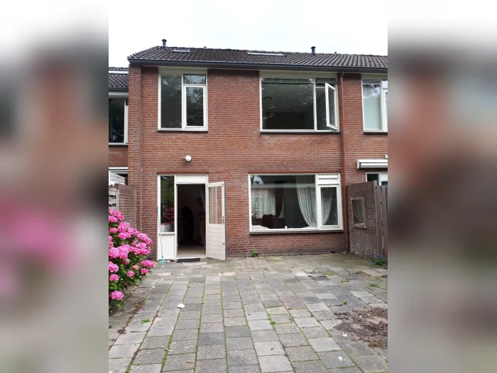 Voorbeeldafbeelding 1