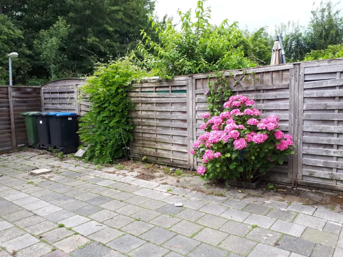 Voorbeeldafbeelding 13