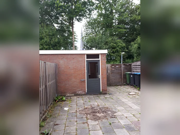 Voorbeeldafbeelding 12