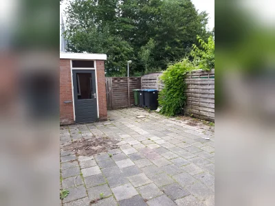 Voorbeeldafbeelding 11