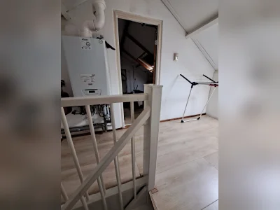 Voorbeeldafbeelding 7