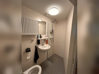 Voorbeeldafbeelding 11