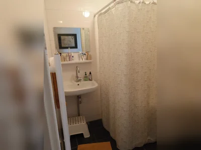 Voorbeeldafbeelding 11