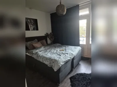 Voorbeeldafbeelding 3