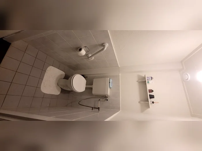 Voorbeeldafbeelding 1